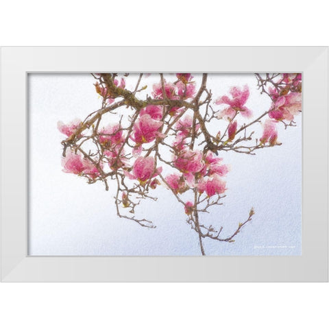 Painted Magnolia White Modern Wood Framed Art Print by Vest, Christopher