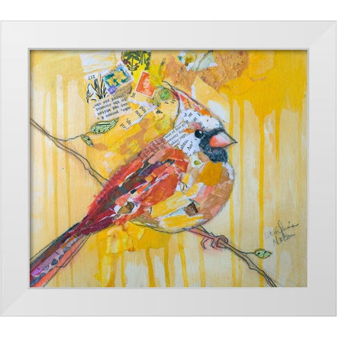 Female Cardinal White Modern Wood Framed Art Print by St Hilaire, Elizabeth