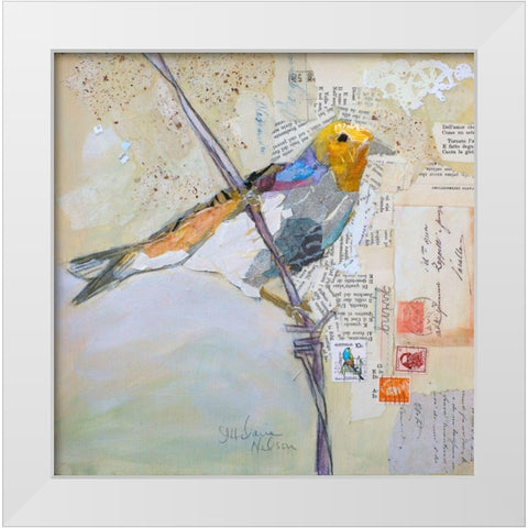 Finch on White White Modern Wood Framed Art Print by St Hilaire, Elizabeth