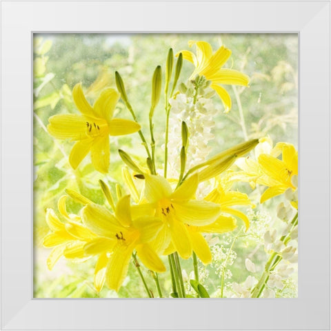 Lemon Lilies  White Modern Wood Framed Art Print by Stalus, Judy
