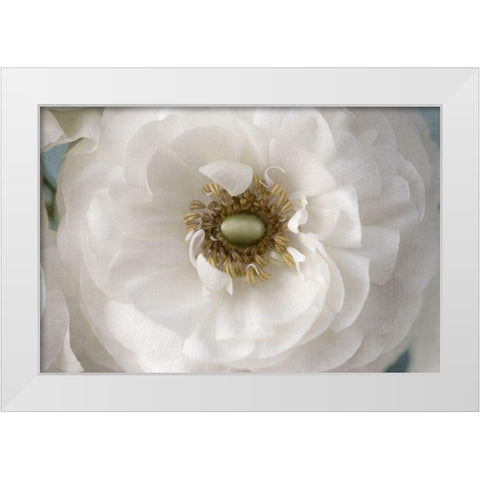 Golden Eye White Modern Wood Framed Art Print by Stalus, Judy