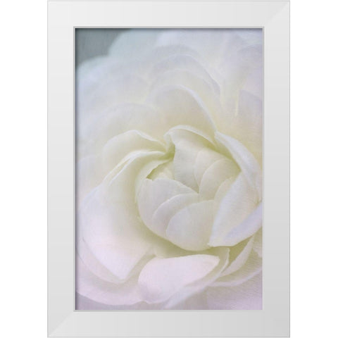 Whisper White Modern Wood Framed Art Print by Stalus, Judy