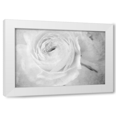 White Mystery White Modern Wood Framed Art Print by Stalus, Judy