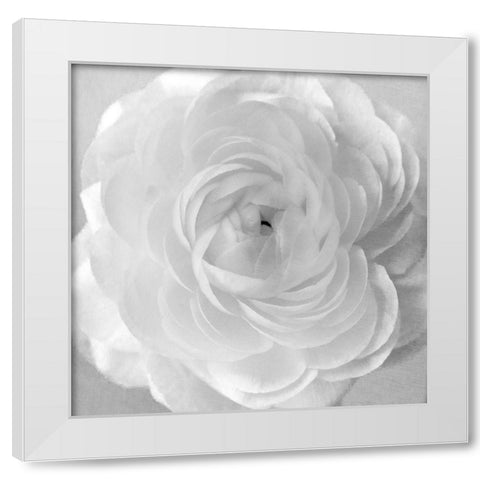 Snow White Modern Wood Framed Art Print by Stalus, Judy