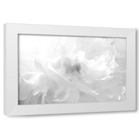 Clouds White Modern Wood Framed Art Print by Stalus, Judy