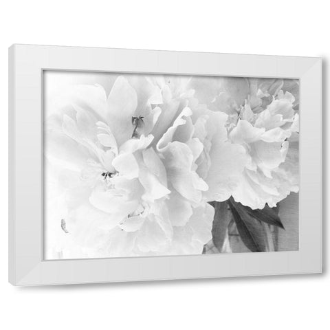 Peonies in White II White Modern Wood Framed Art Print by Stalus, Judy