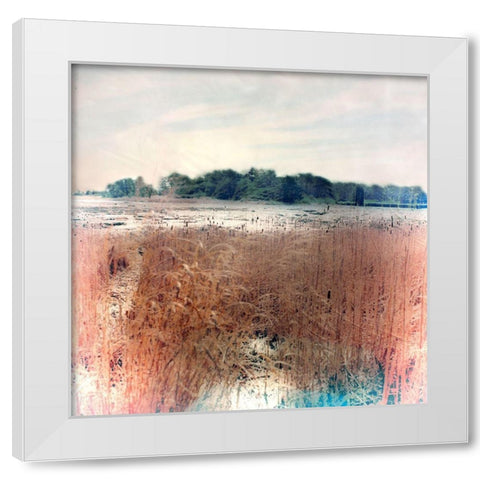 Reeds White Modern Wood Framed Art Print by Stalus, Judy