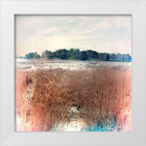 Reeds White Modern Wood Framed Art Print by Stalus, Judy