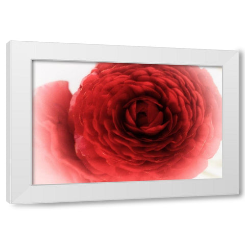 Velvet White Modern Wood Framed Art Print by Stalus, Judy