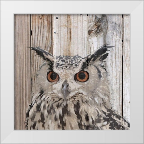 Owlish White Modern Wood Framed Art Print by Smith, Karen