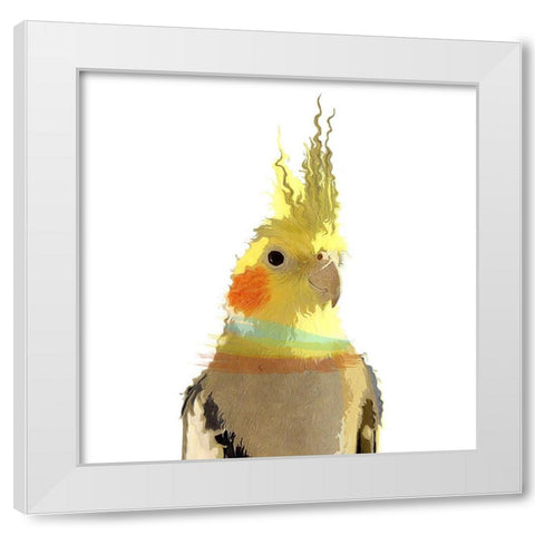 Cockatiel White Modern Wood Framed Art Print by Smith, Karen