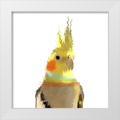Cockatiel White Modern Wood Framed Art Print by Smith, Karen