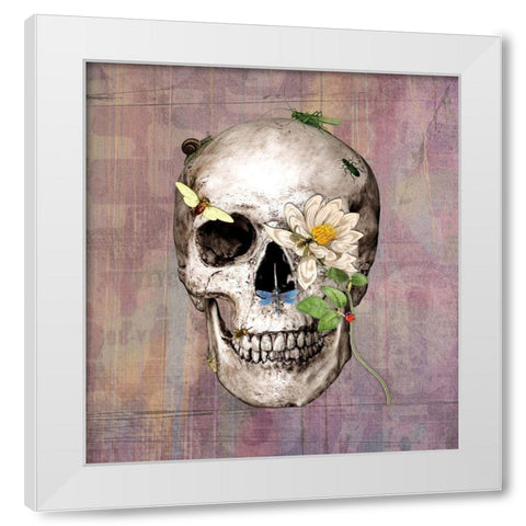 Bugskull White Modern Wood Framed Art Print by Smith, Karen