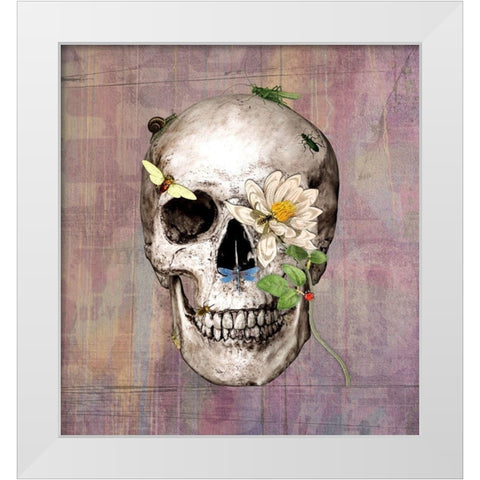 Bugskull White Modern Wood Framed Art Print by Smith, Karen
