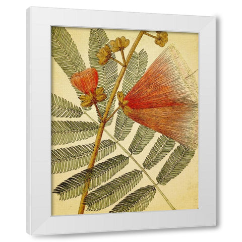 Botanical Grunge I White Modern Wood Framed Art Print by Hunziker, Steve