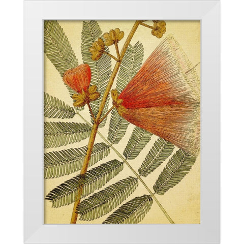 Botanical Grunge I White Modern Wood Framed Art Print by Hunziker, Steve