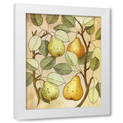 Botanical Grunge II White Modern Wood Framed Art Print by Hunziker, Steve