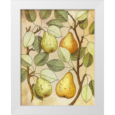 Botanical Grunge II White Modern Wood Framed Art Print by Hunziker, Steve