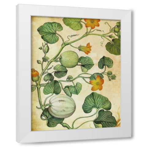 Botanical Grunge III  White Modern Wood Framed Art Print by Hunziker, Steve