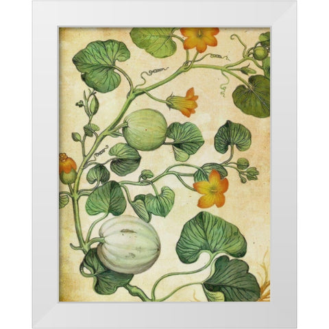 Botanical Grunge III  White Modern Wood Framed Art Print by Hunziker, Steve