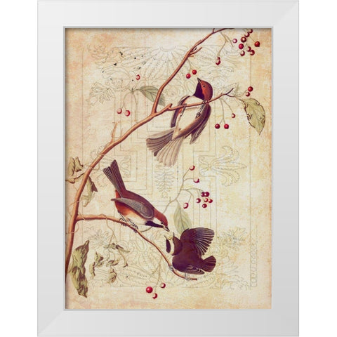 Classic Avion I White Modern Wood Framed Art Print by Hunziker, Steve