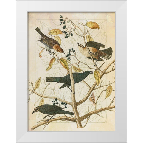 Classic Avion III White Modern Wood Framed Art Print by Hunziker, Steve