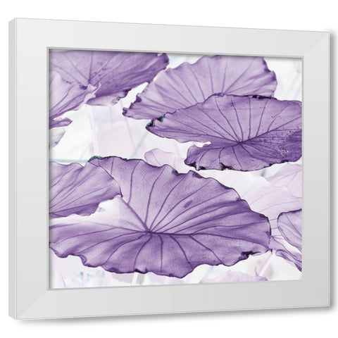 Botanicals White Modern Wood Framed Art Print by Surma, Agata