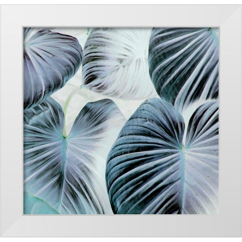 Botanic Blues White Modern Wood Framed Art Print by Surma, Agata