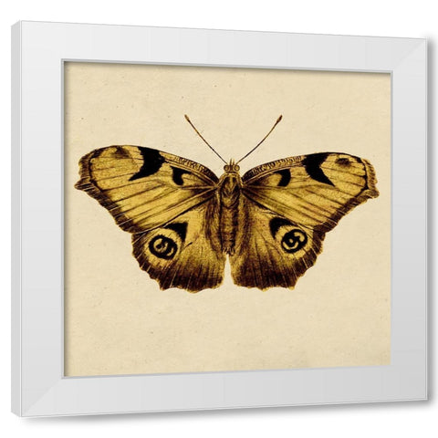 Golden Mariposa White Modern Wood Framed Art Print by Surma, Agata