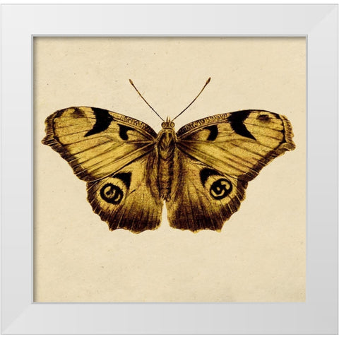 Golden Mariposa White Modern Wood Framed Art Print by Surma, Agata