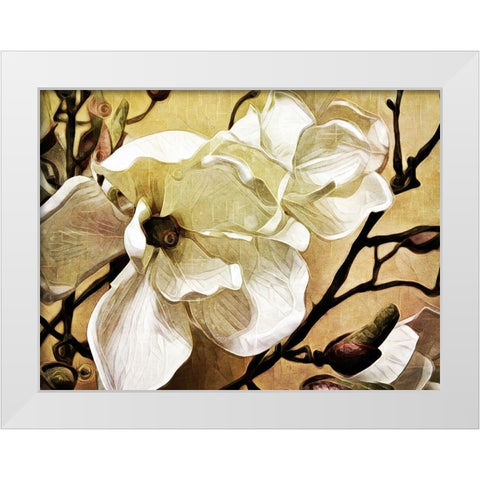 Majestic Magnolia White Modern Wood Framed Art Print by Aldridge, Ashley