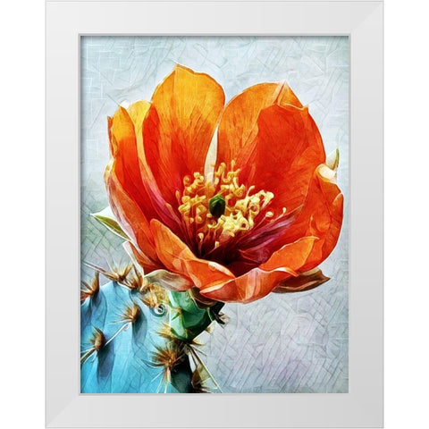 Blood Orange Beauty II White Modern Wood Framed Art Print by Aldridge, Ashley