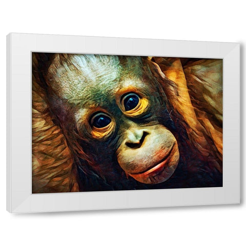 Baby Orangutan Observation White Modern Wood Framed Art Print by Aldridge, Ashley