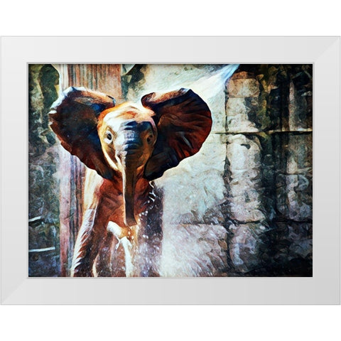 Baby African Elephant Hose Down White Modern Wood Framed Art Print by Aldridge, Ashley