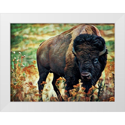 American Bison Grassland Graze White Modern Wood Framed Art Print by Aldridge, Ashley