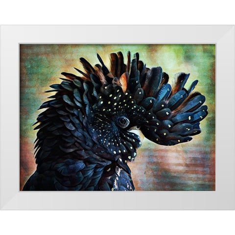 Red Tailed Black Cockatoo Crest White Modern Wood Framed Art Print by Aldridge, Ashley