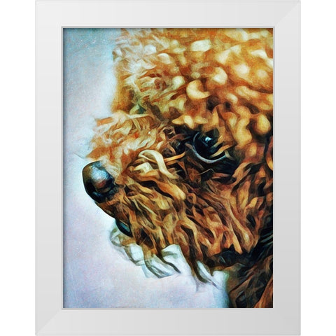 Apricot Toy Poodle Puff White Modern Wood Framed Art Print by Aldridge, Ashley