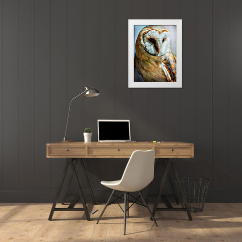Barn Owl Heart Faced Hunter White Modern Wood Framed Art Print by Aldridge, Ashley