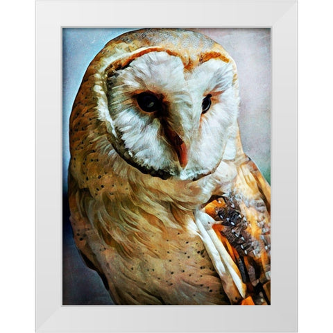 Barn Owl Heart Faced Hunter White Modern Wood Framed Art Print by Aldridge, Ashley