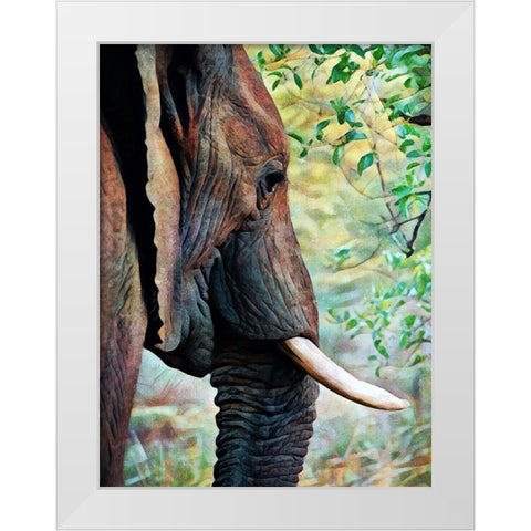 African Elephant Always Listening White Modern Wood Framed Art Print by Aldridge, Ashley