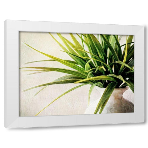 White Potted Plant White Modern Wood Framed Art Print by Aldridge, Ashley