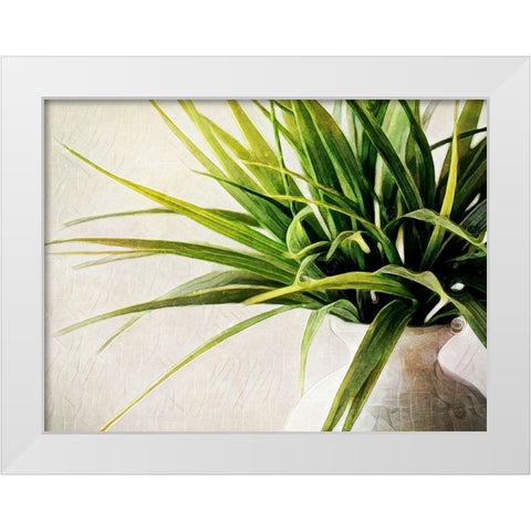 White Potted Plant White Modern Wood Framed Art Print by Aldridge, Ashley