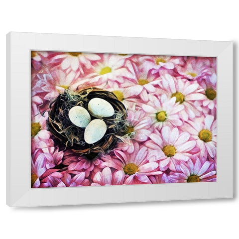 Nested On Daisies White Modern Wood Framed Art Print by Aldridge, Ashley