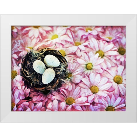 Nested On Daisies White Modern Wood Framed Art Print by Aldridge, Ashley