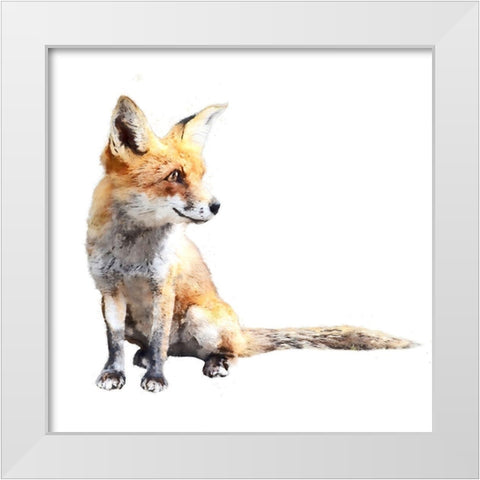 Inquisitive Fox White Modern Wood Framed Art Print by Curinga, Kim