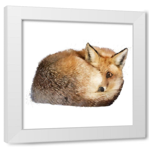 Sleeping Fox White Modern Wood Framed Art Print by Curinga, Kim