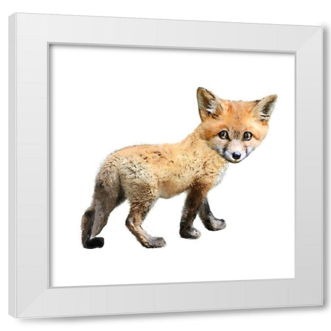Curious Fox  White Modern Wood Framed Art Print by Curinga, Kim