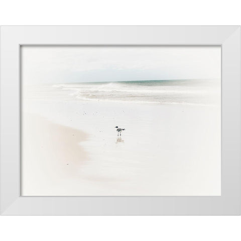 Bleached Bird White Modern Wood Framed Art Print by Curinga, Kim