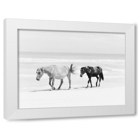 Beach Horse Duo White Modern Wood Framed Art Print by Curinga, Kim