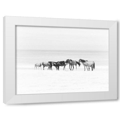 Corolla Beach Horses White Modern Wood Framed Art Print by Curinga, Kim